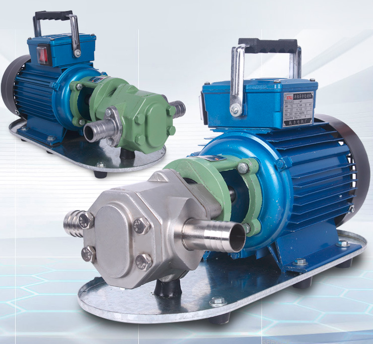 WCB stainless steel 220V single phrase portable gear oil transfer pump