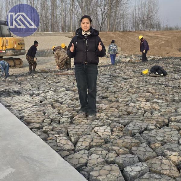 275 g de cages en gabion galvanisées revêtues de zinc avec treillis métallique
