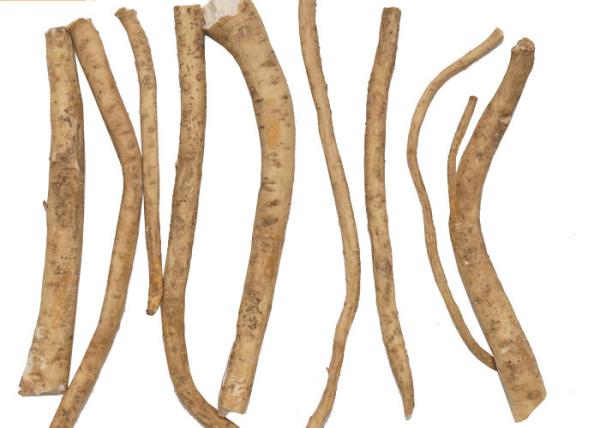Peeled Natural Food Seasoning Fresh Horseradish Lateral Root Without Additives