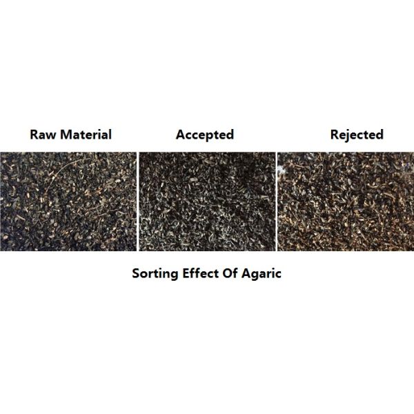 2.4KW Discolored Material Selection Machine 1Ton 2Ton 3Ton Per Hour