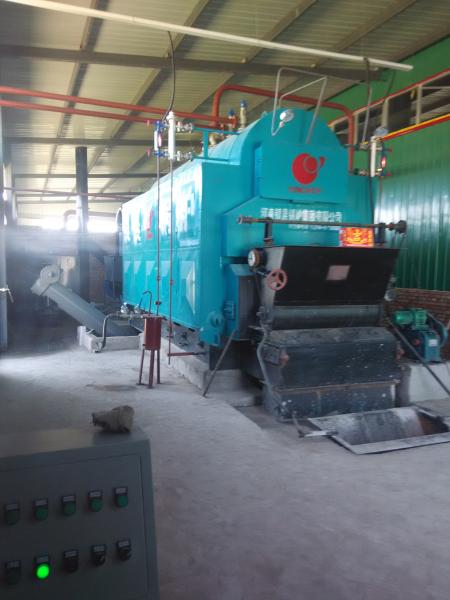 Chain Grate Coal Fired Steam Boiler , Wood Industrial Biomass Boiler