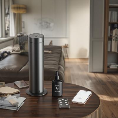 Diffuseur d'huile essentielle sans eau argenté avec technologie d'air froid intelligent