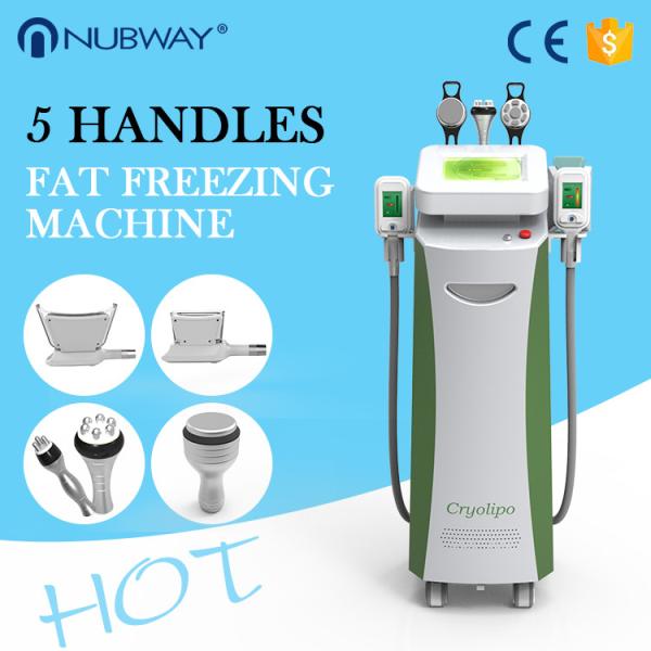 2014 Newly-launched!!! Cavitation Vacuum RF Cryo Zeltiq Cryolipolysis machine
