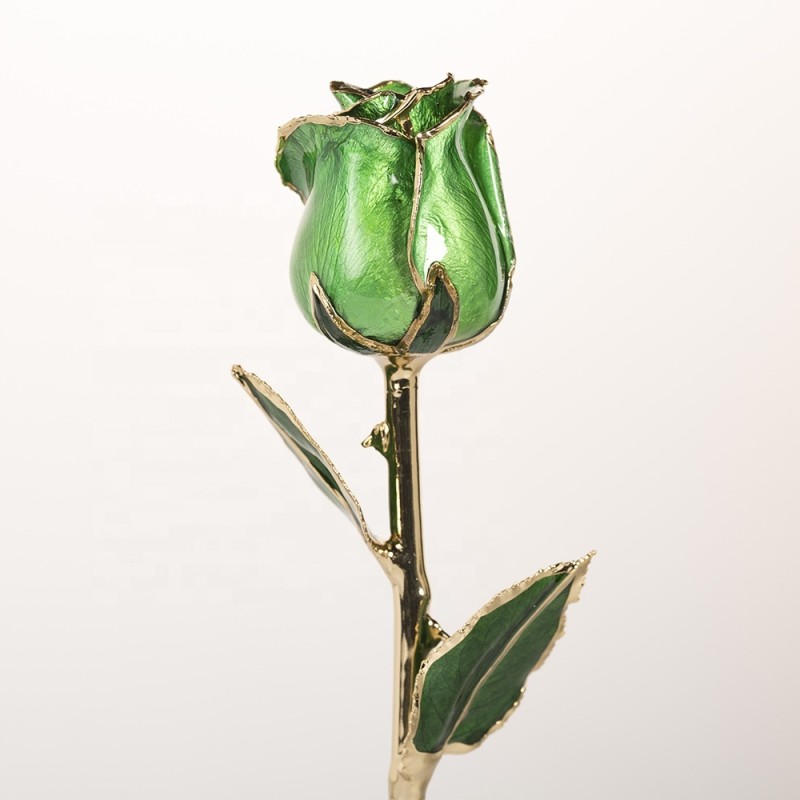 Gold Plated Rose Wholesale Green Fresh Rose with Stem Present Rose Gift