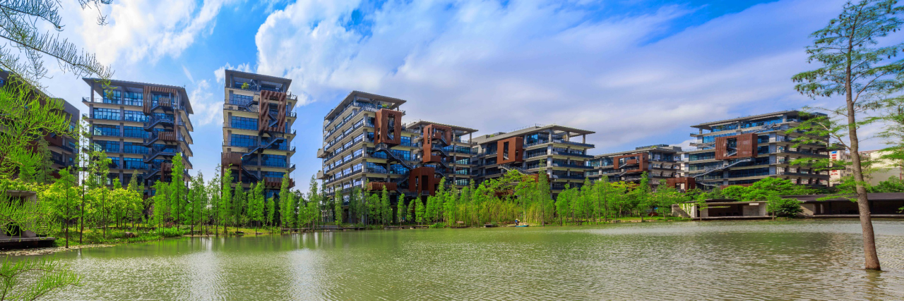 Outdoor High Power Solar Street Light 50W / 18V With 3 Years Warranty