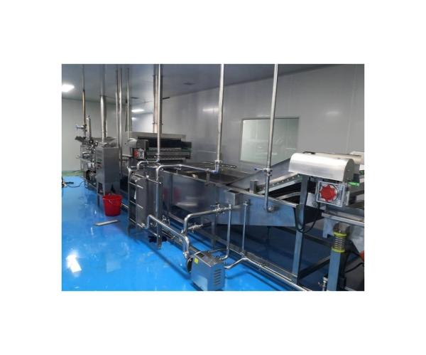 Customized Immersion Tunnel Sterilization System for Packed Paste Manufacturing Line