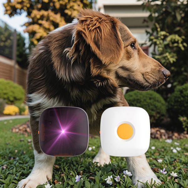 2025 Mini Interactive Remote Control Rechargeable E-Collar Dog Training IP67 Waterproof Plastic No Shock Vibration Reminders for