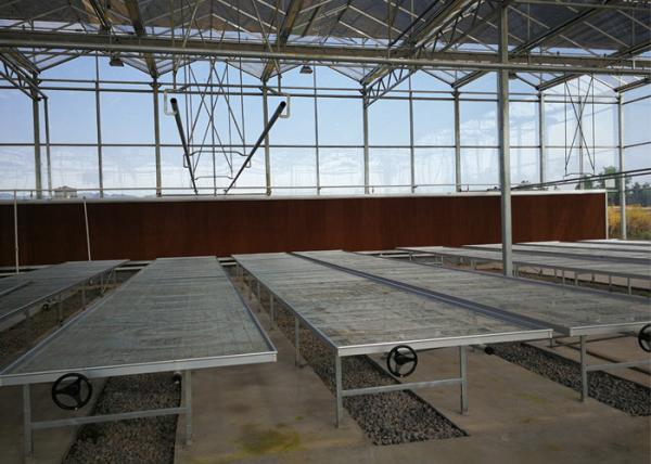 Large Space Double Glazed Greenhouse , Venlo Type Tomato Plant Greenhouse