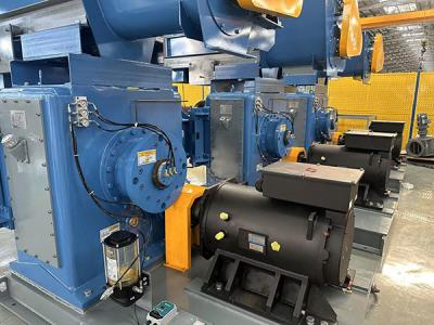 Large Capacity Biomass Spent Coffee Pellet Making Machine 200kw Spent Coffee Pellet Press