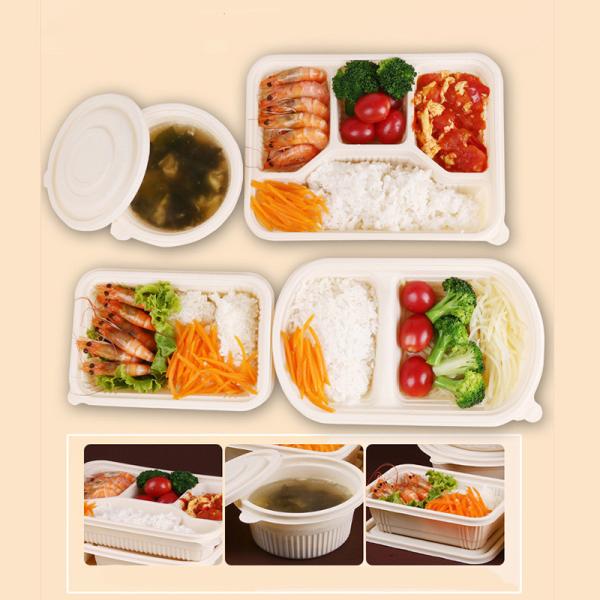 Compartment PLA Biodegradable Container OEM / ODM 1 / 2 / 3 For Inflight Meal Box