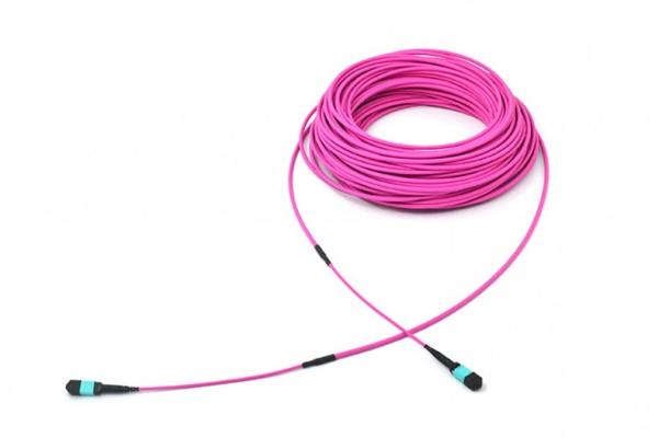 12F 24F MPO To MPO Fiber Optic Cable 4.5mm Double Jacket OM4 OM3 SM Optional