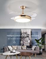 Ventilateur de plafond LED moderne avec lumière pour la maison et le restaurant Bluetooth Silencieux Simple Invisible Lustre en fer 220V