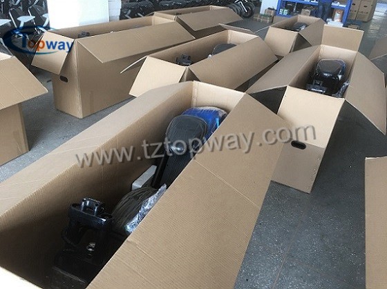 Fat tyre electric scooter 60V 1000W halley two wheels citycoco