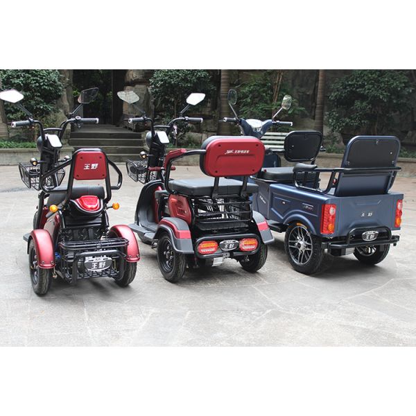 Two Seat 1200W 3 Wheel Electric Trike Scooter