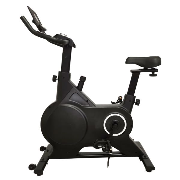 Stepless Resistance 4kg Flywheel Indoor Spin Bike for Silent Home and Gym Workout