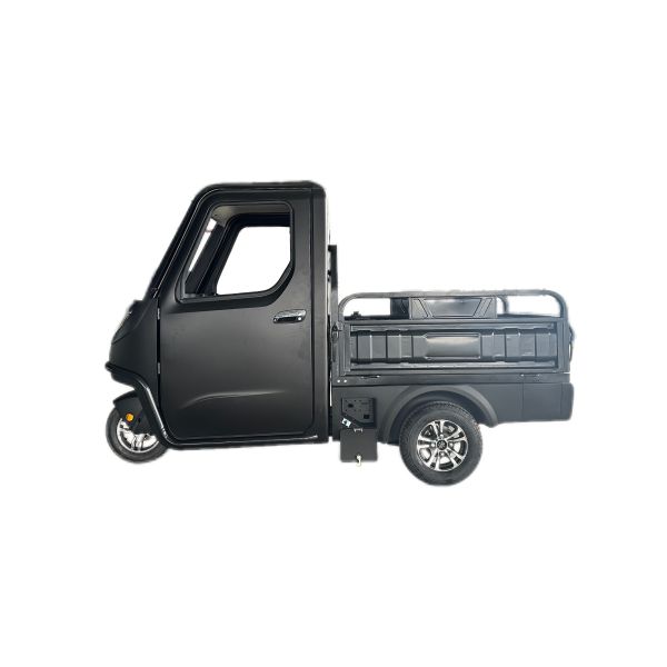 Electric Mini Car Cargo Bike Trike Motorcycle with EEC Certification and High Voltage