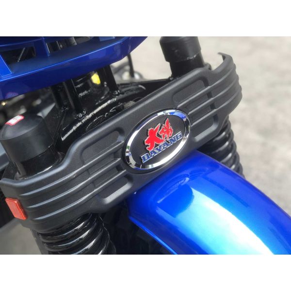 5.00-12/5.00-12 Шины DAYANG 300cc Двойная задняя ось Моторизованный трехколесный велосипед для тяжелых грузов