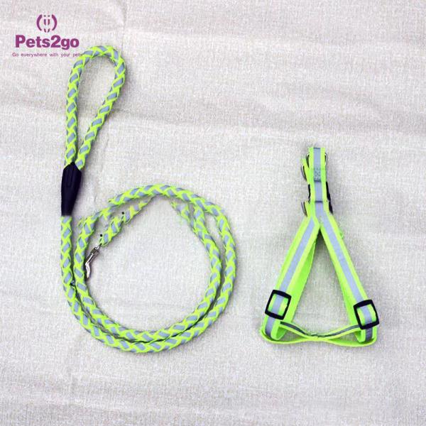 Smart Light Up 5m Pet Collar And Leash For Dog
