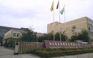 Hangzhou Shengyi Tourist Novelty Co., Ltd.