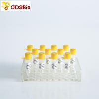Power Green qPCR mezclado con ROX para ABI ROCHE ADN en tiempo real PCR