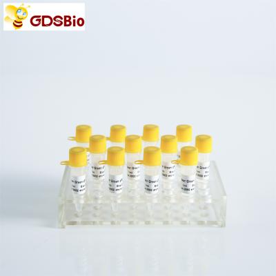 Power Green qPCR Mix with ROX for ABI Roche DNA real time PCR