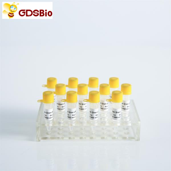 Power Green QPCR Mix Low ROX+ for ABI roche Real Time PCR 5ml