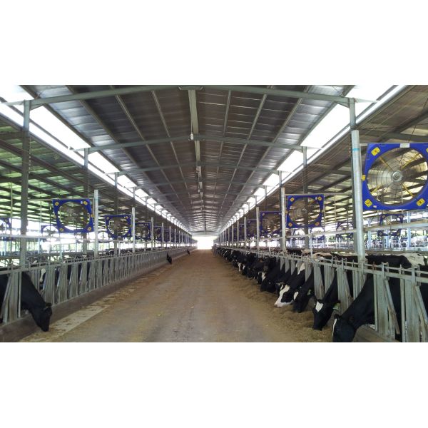 Ahorro de energía y ventilador industrial con motor PMSM para enfriamiento