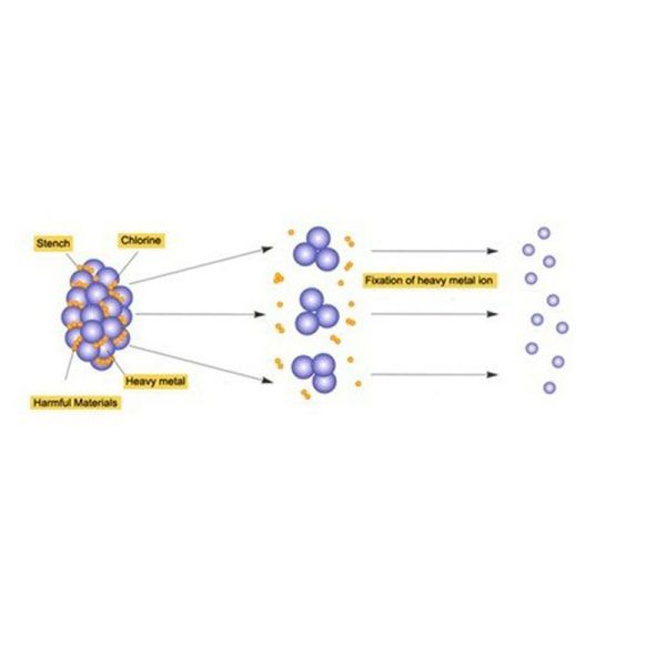 Dual Detox Foot Spa Machine AH-08