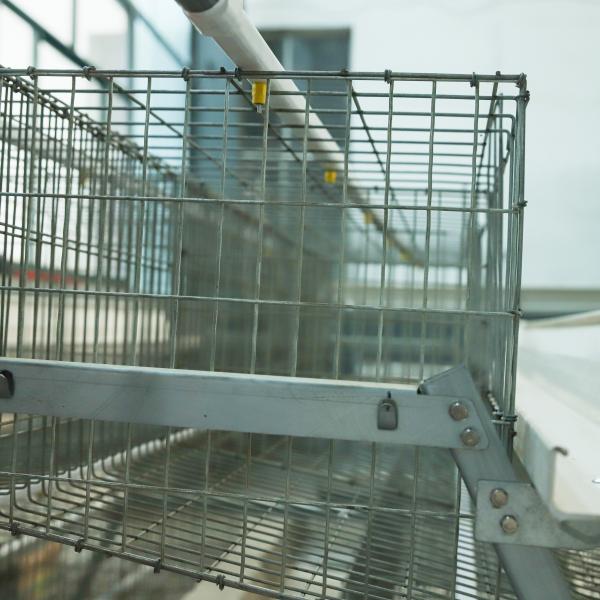 Automatic A-Type Battery Cage Equipment for Laying Chickens & Eggs Henhouse for Poultry Farming
