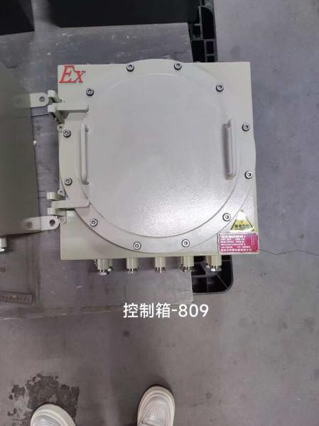 Explosion Proof Flameproof Control Panels – Reliable Fire Hazard Protection for Industrial Facilities