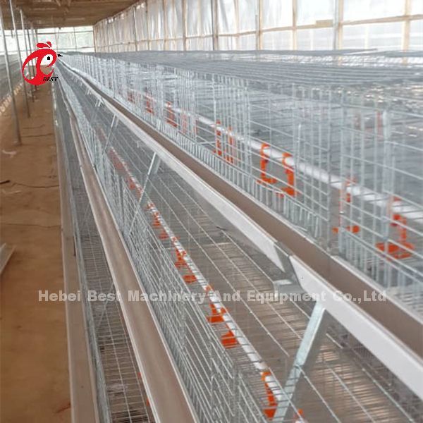 A Type Broiler Battery Cage Galvanized High Strength Poultry Broiler Cage  Iris