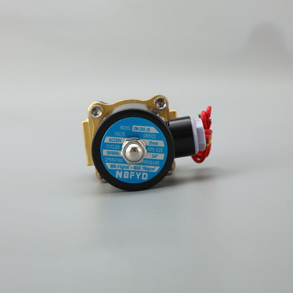 Water Solenoid Electric Valve 24 V/220V 1/2