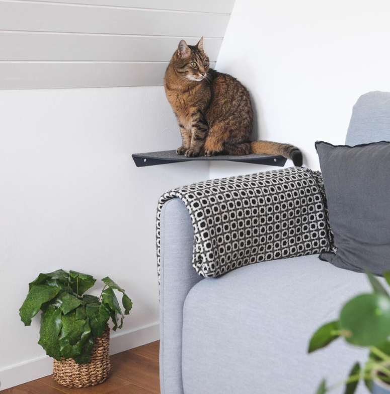 Современный металлический кошачий комната настенное сиденье с штамповыми частями установка настенная установка предварительная сверла