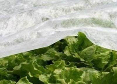 Tela não tecida Degradable 20gsm da agricultura - 100gsm para a raiz ensaca