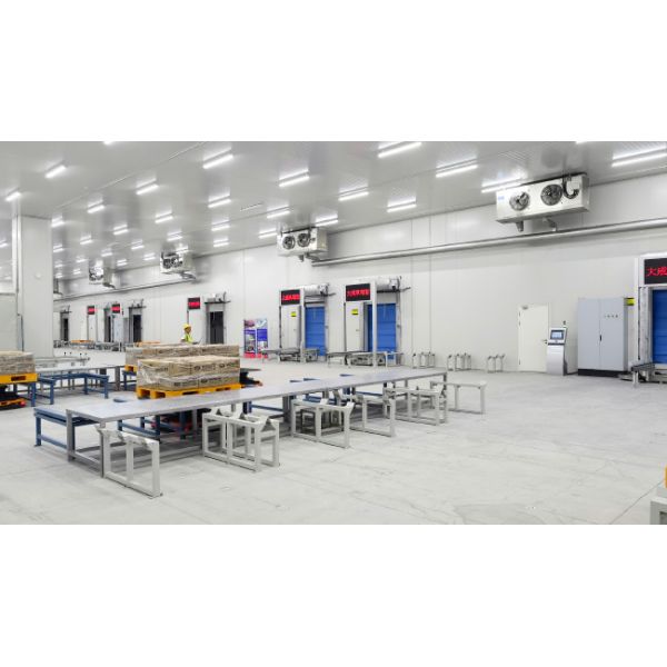 Cold Storage Warehouse Pallet Stacker Crane ASRS Logistics Center Automatic Storage And Retrieval System