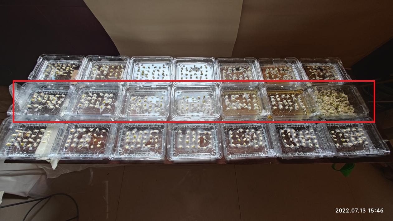 Poudre de N-acétyl-D-glucosamine brune Agriculture Dosage engrais organique