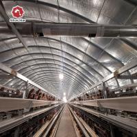 Hot Dip Galvanized H Type Automatic Layer Chicken Cage System
