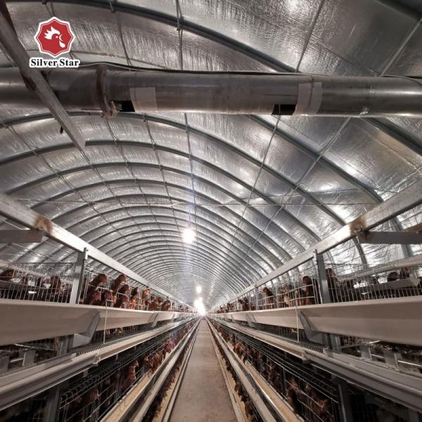 Hot Dip Galvanized H Type Automatic Layer Chicken Cage System