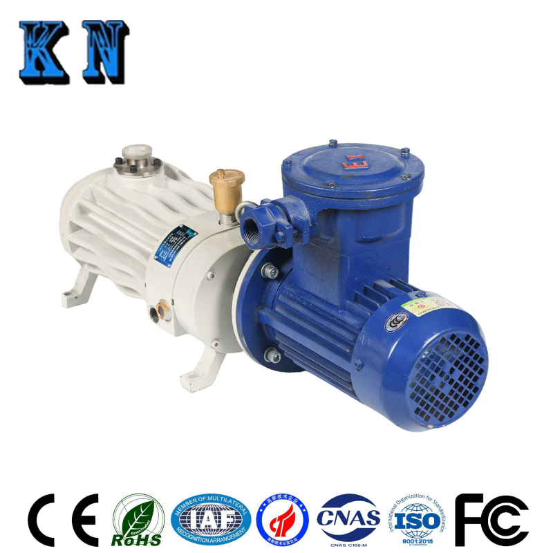 LG-10 Dry Vacuum Pump No Oil Corrosion Resistant Low Noise For Industrial Applications