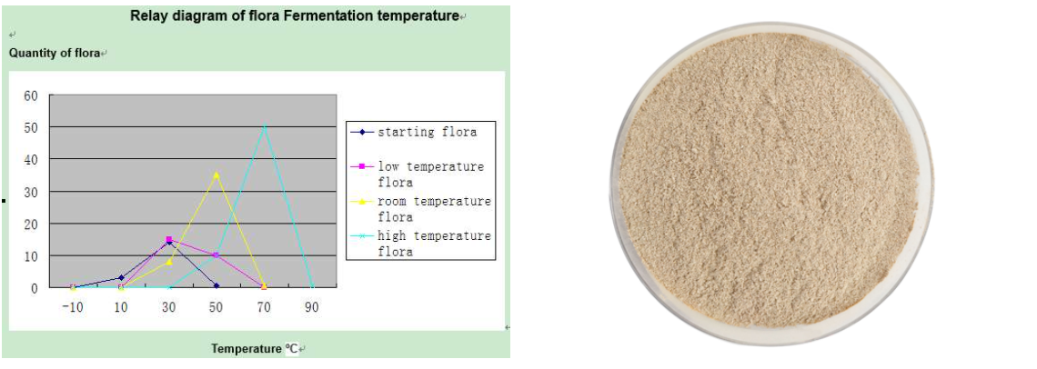 Agricultural Probiotics Fermentation Bacteria Microbial Inoculants As Biofertilizer