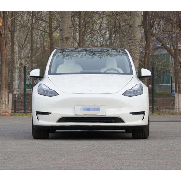 Edición de uso múltiple de alto rendimiento 2022 de la impulsión del funcionamiento del Tesla Model Y los 615KM SUV