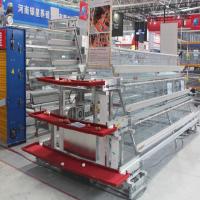 Système potable de l'eau automatique de cage de volaille de couche de ferme de poulet