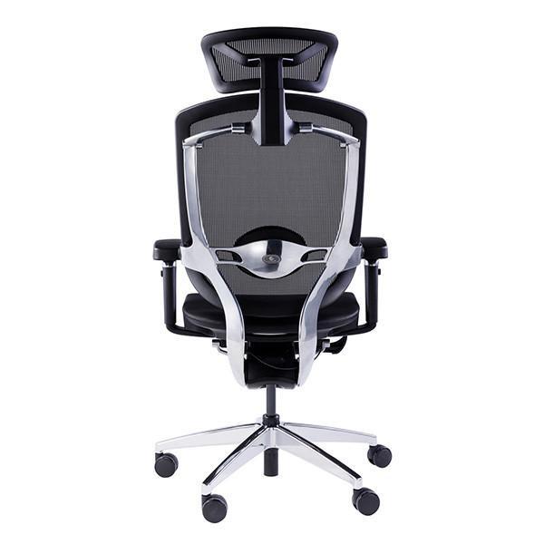 Gtchair Marrit Computer Desk Chair Adjustable High Back Ergonomic Office Chair