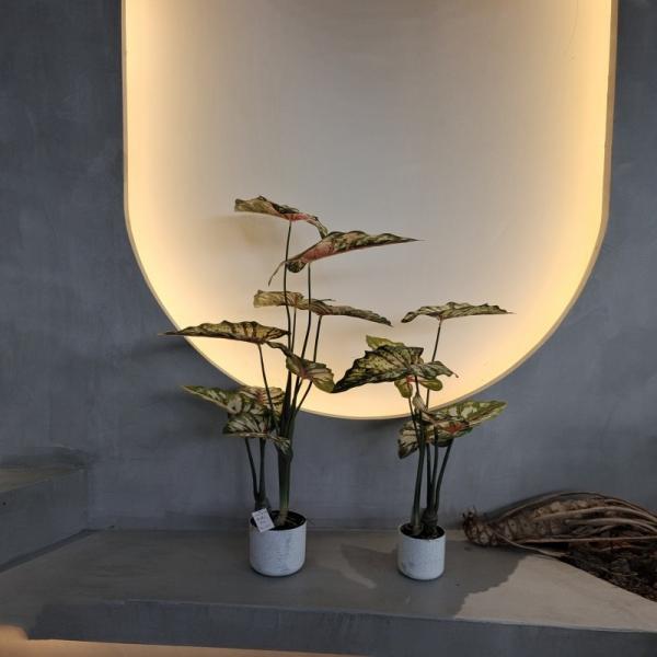 Plantas artificiais de plástico verde 70-120cm para decoração interna / externa