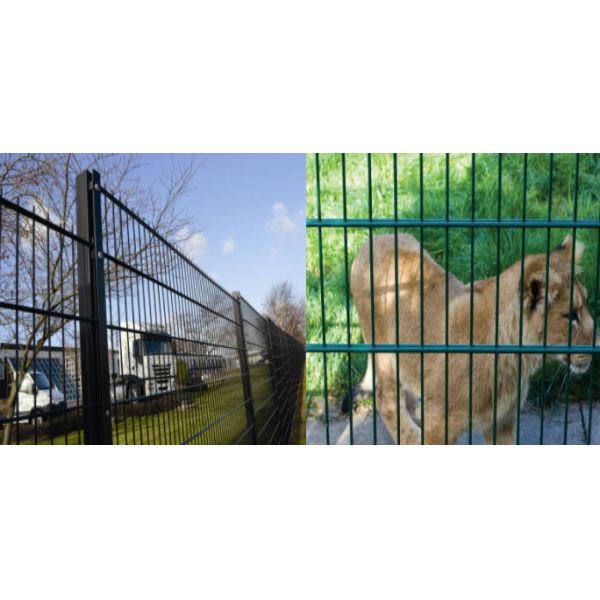 OEM Twin Wire Double Loop Wire Fencing с квадратным столбом 50*100 мм