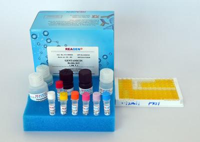 Fructose / Glucose Assay Kit Food Composition Testing Robust Enzyme Based Assay