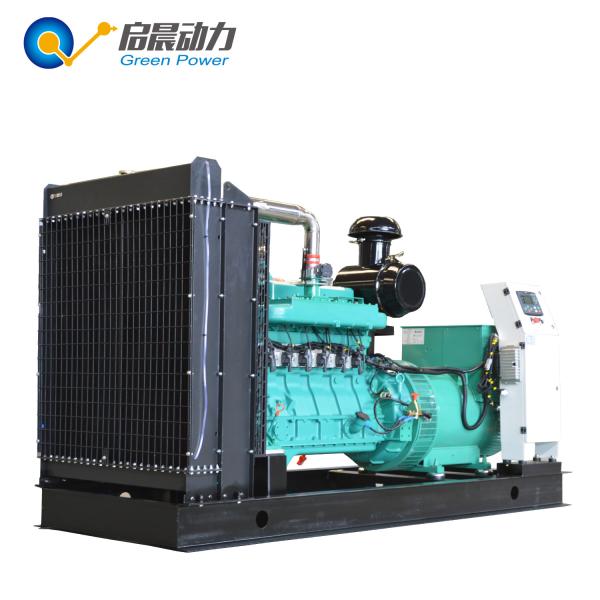 Gas Powered Generator Natural Gas Generator with Best Price