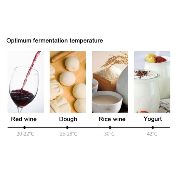 Электрический резервуар для ферментации теста с конструкцией из нержавеющей стали и мощностью 1,4 кВт