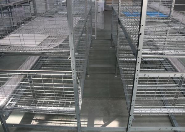 Hot Dip Galvanized Layer Chicken Cage System Easy Use Free Layout Design