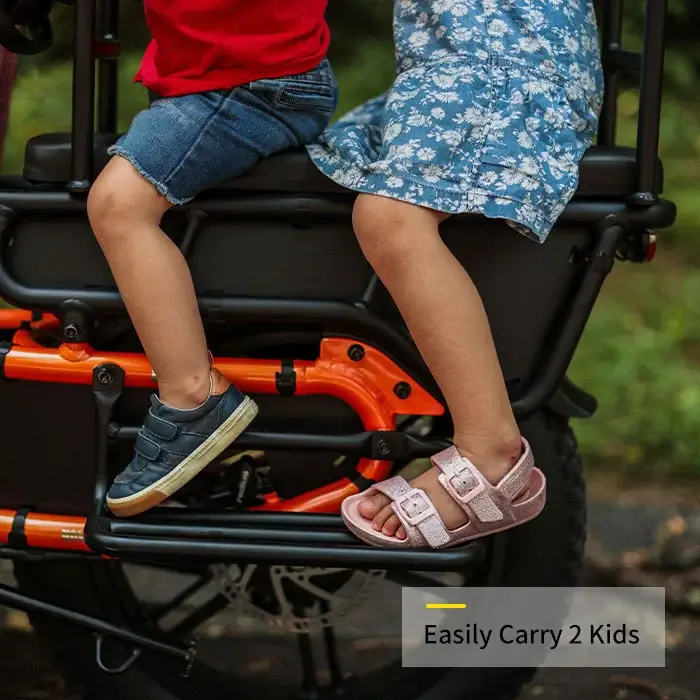 German Warehouse HovCart EU/US/AU Stock Electric City Cargo Bike for Two Children with Protection Seat Torque Sensor Fat Tire